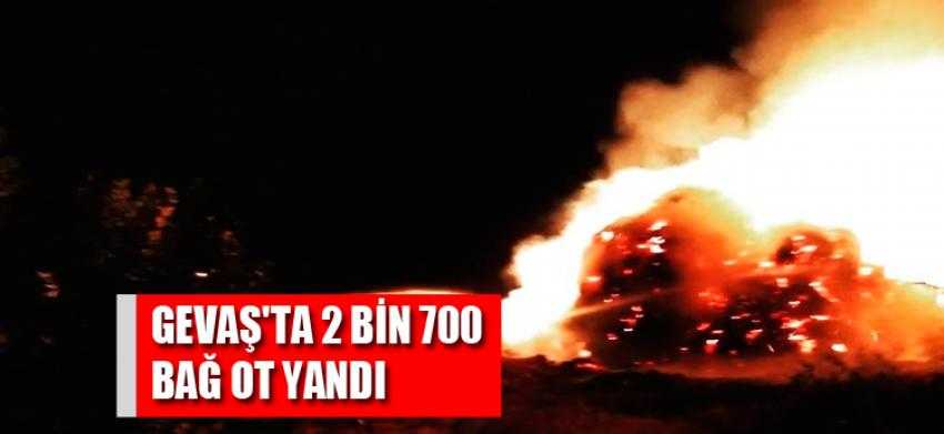 Gevaş'ta 2 bin 700 bağ ot yandı
