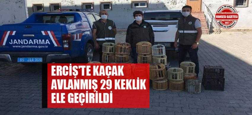29 keklik ele geçirildi