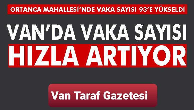 Van'da vakalar hızla artıyor