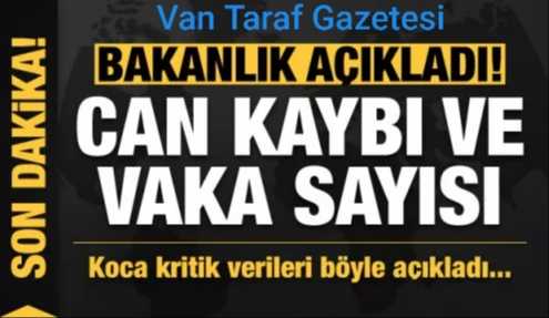 29 Mayıs koronavirüs tablosu!