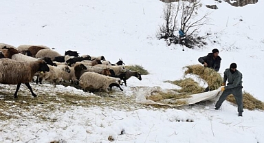 Hakkari'deki besicilerin kış şartlarıyla mücadelesi başladı