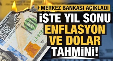 Merkez Bankası anketi