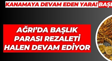 Ağrı'da başlık parası halen devam ediyor