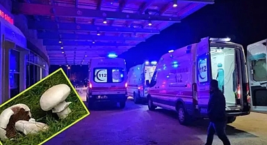 Marketten Aldığı Mantar Hastanelik Etti
