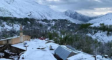 Yaz beklenirken kış geldi: Van'da gece boyunca lapa lapa kar yağdı