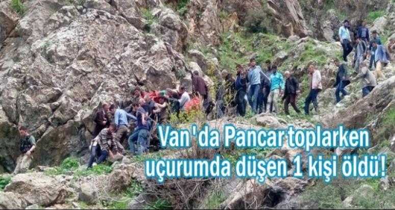 Van'da Pancar toplarken uçurumda düşen 1 kişi öldü!