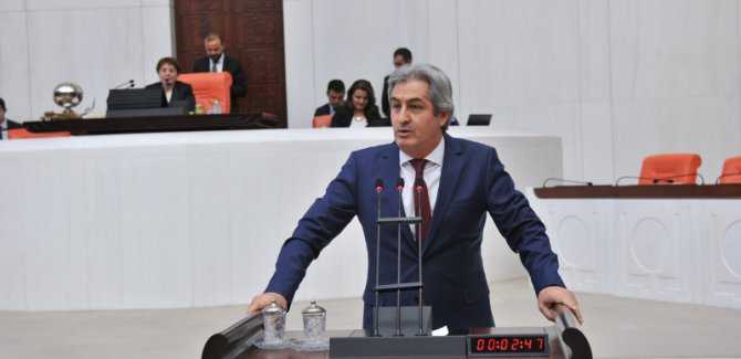 Hdp'li Lezgin Botan; Halepçe'nin 'Soykırım' olarak tanınması için kanun teklifi