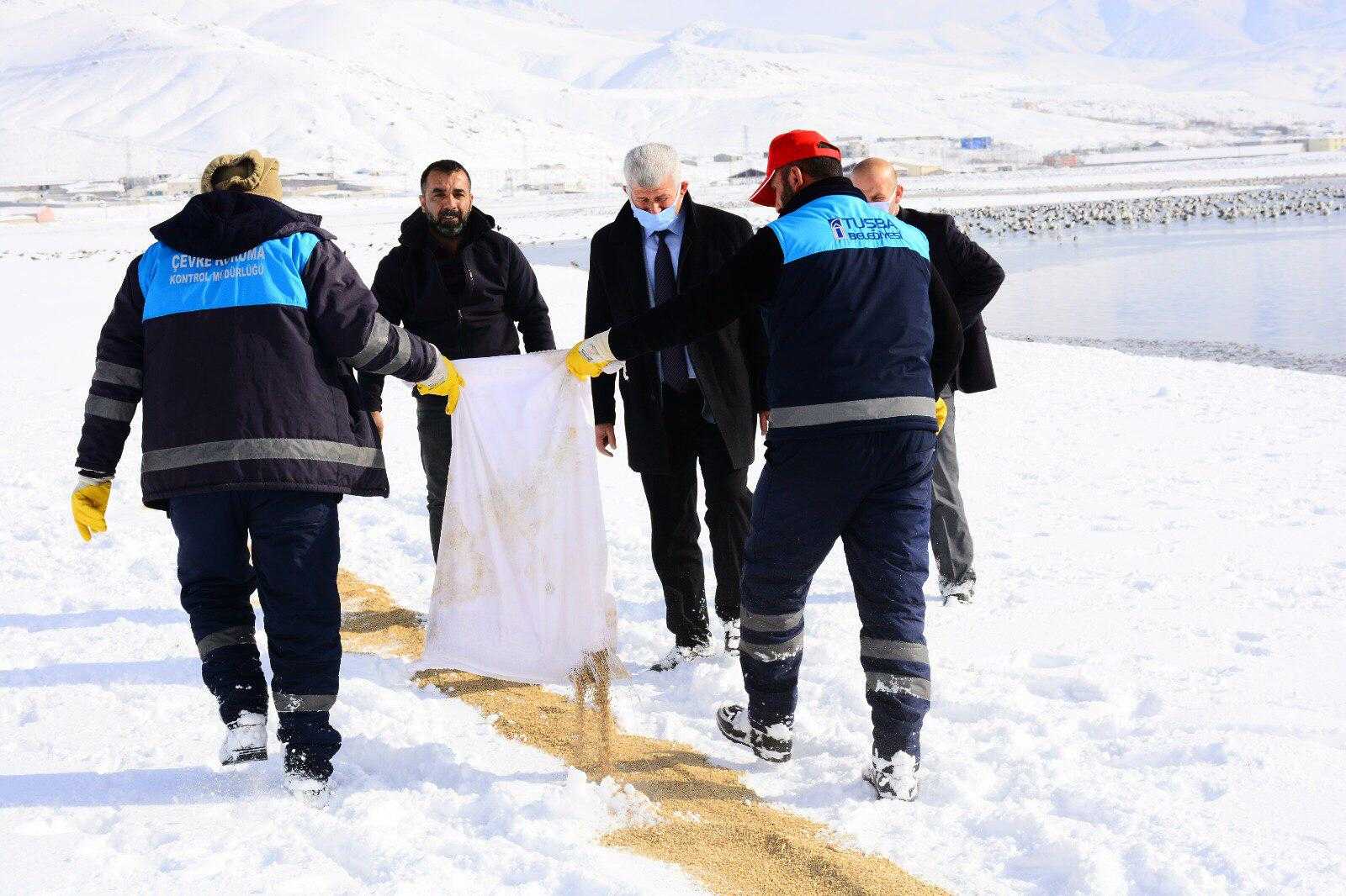 TUŞBA BELEDİYESİ, YABAN HAYVANLARI İÇİN DOĞAYA YEM BIRAKTI