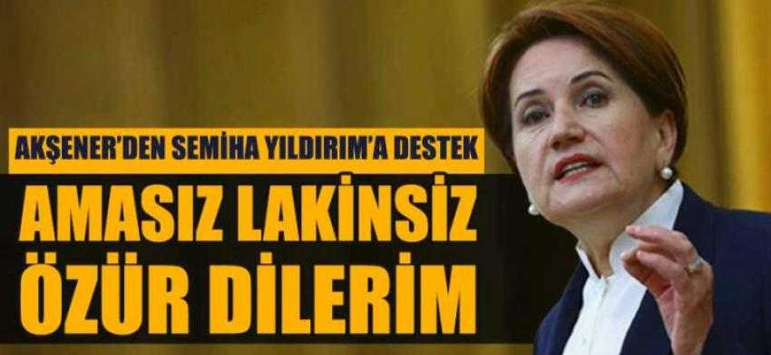 Meral Akşener özür diledi