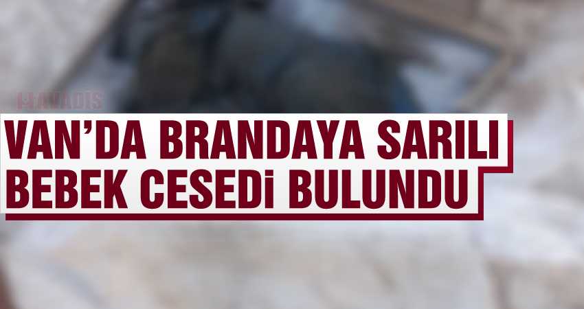 Van’da Terk edilmiş bebek cesedi bulundu.