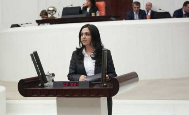 HDP'li Özgökçe, Soylu'ya Vali Murat Zorluoğlu'nun açıklamalarını sordu