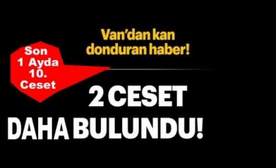 Van'da 2 erkek cesedi daha bulundu