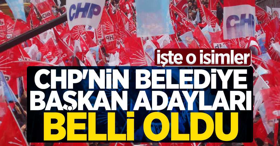 CHP'NİN VAN BELEDİYE BAŞKAN ADAYLARI BELLİ OLDU İSİMLER ŞÖYLE...