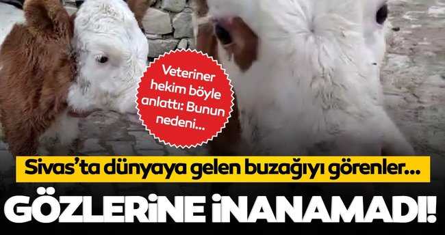 Böylesi şaşırtı