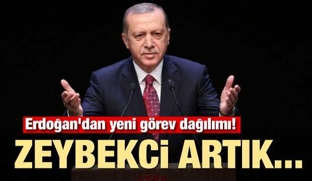 Erdoğan'dan yeni görev dağılımı!