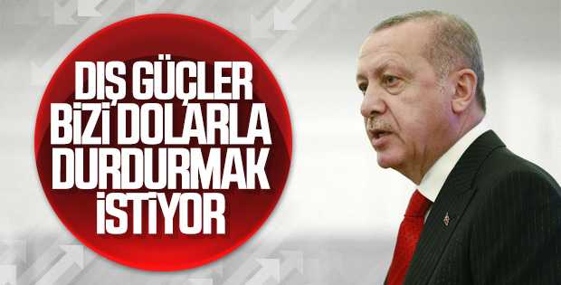 Cumhurbaşkanı Erdoğan'ın döviz yorumu