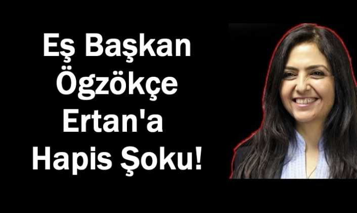 Eşbaşkan Ertan’a Hapis Şoku