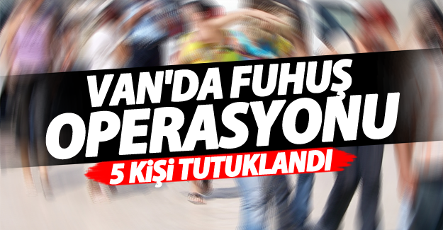 Van’da fuhuş operasyonu: 5 tutuklama