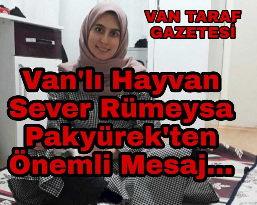 Hayvan Sevgisi Bir Başkadır...