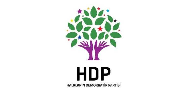 HDP Van İl Örgütü’nden ‘İnsan Hakları Günü’ açıklaması