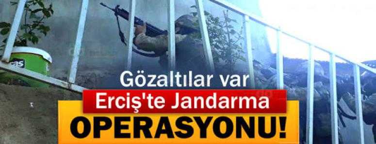 Erciş'te Jandarma operasyonu! 9 gözaltı