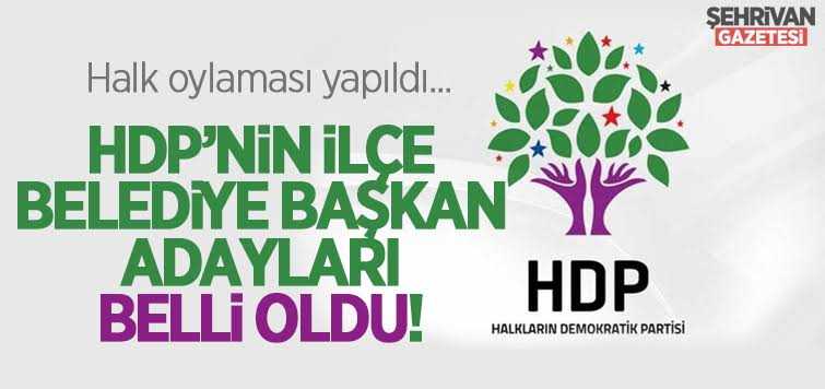 HDP'nin Van'daki ilçe belediye başkan adayları belli oldu!