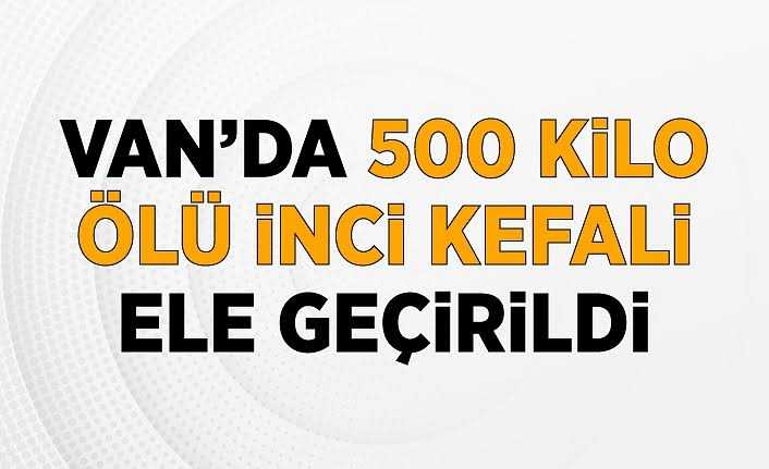 VAN'DA 500 KİLO ÖLÜ İNCİ KEFALİ ELE GEÇİRİLDİ