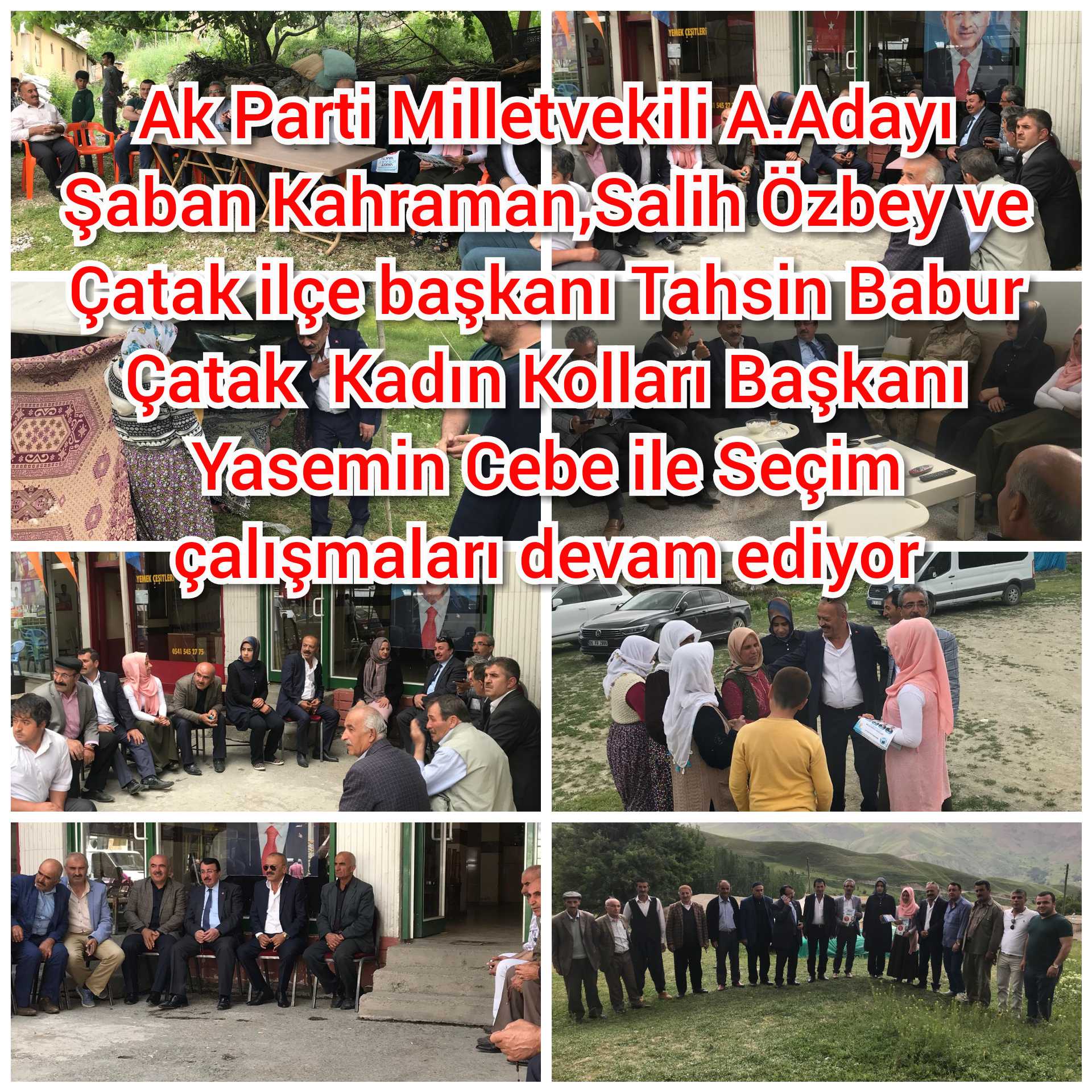 Ak parti Çatak ilçesinde Seçim çalışmalarına hız verdi. Aday Adayları destek verdi.