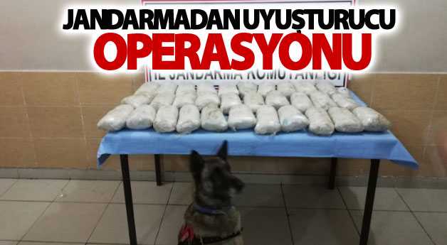 Jandarmadan uyuşturucu operasyonu