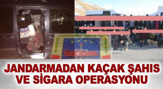Jandarmadan kaçak şahıs ve sigara operasyonu