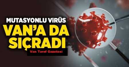 Mutasyonlu virüs Van’a sıçradı