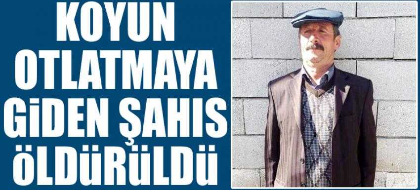Van'da koyun otlatmaya giden şahıs öldürüldü