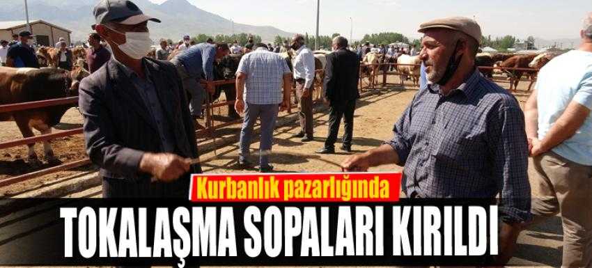 Kurbanlık pazarlığında...