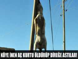 Köye inen aç kurt köylüler tarafından öldürüldü