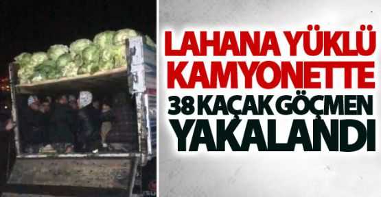 Lahana yüklü kamyonette 38 kaçak göçmen yakalandı