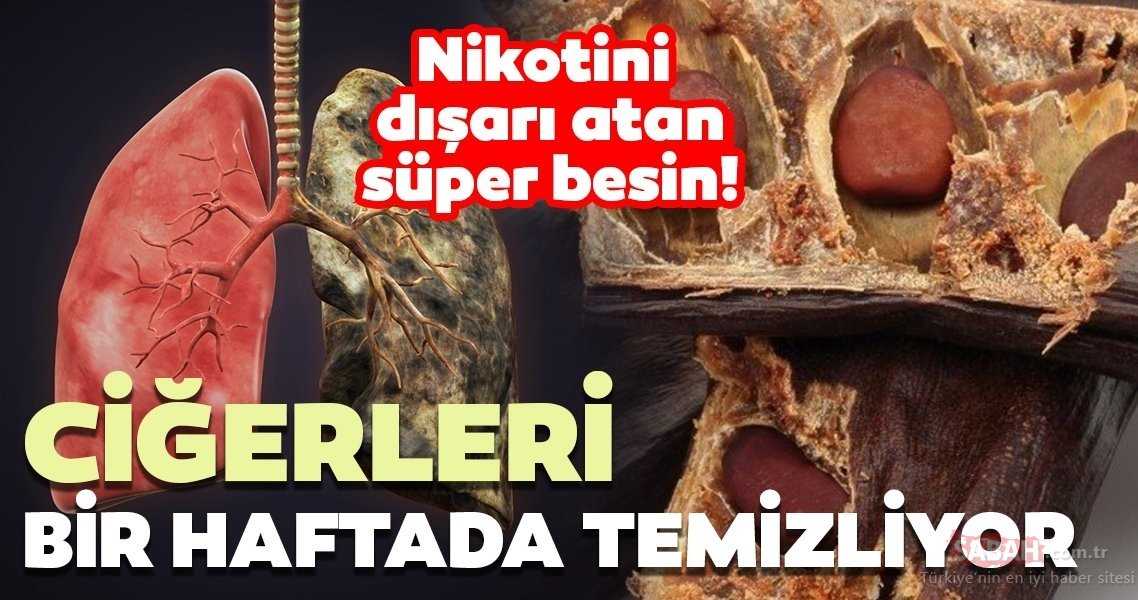 Bu besin Ciğerleri temizliyor