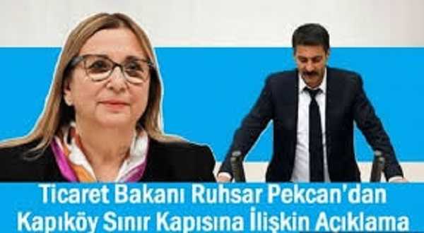 HDP Van Mİlletvekili Sarısaç Sordu, Bakan Pekcan Cevapladı
