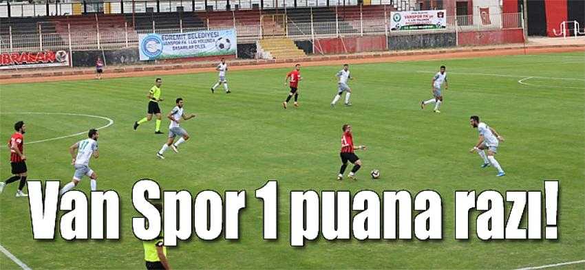 Vanspor 1 puana razı oldu: 2-2