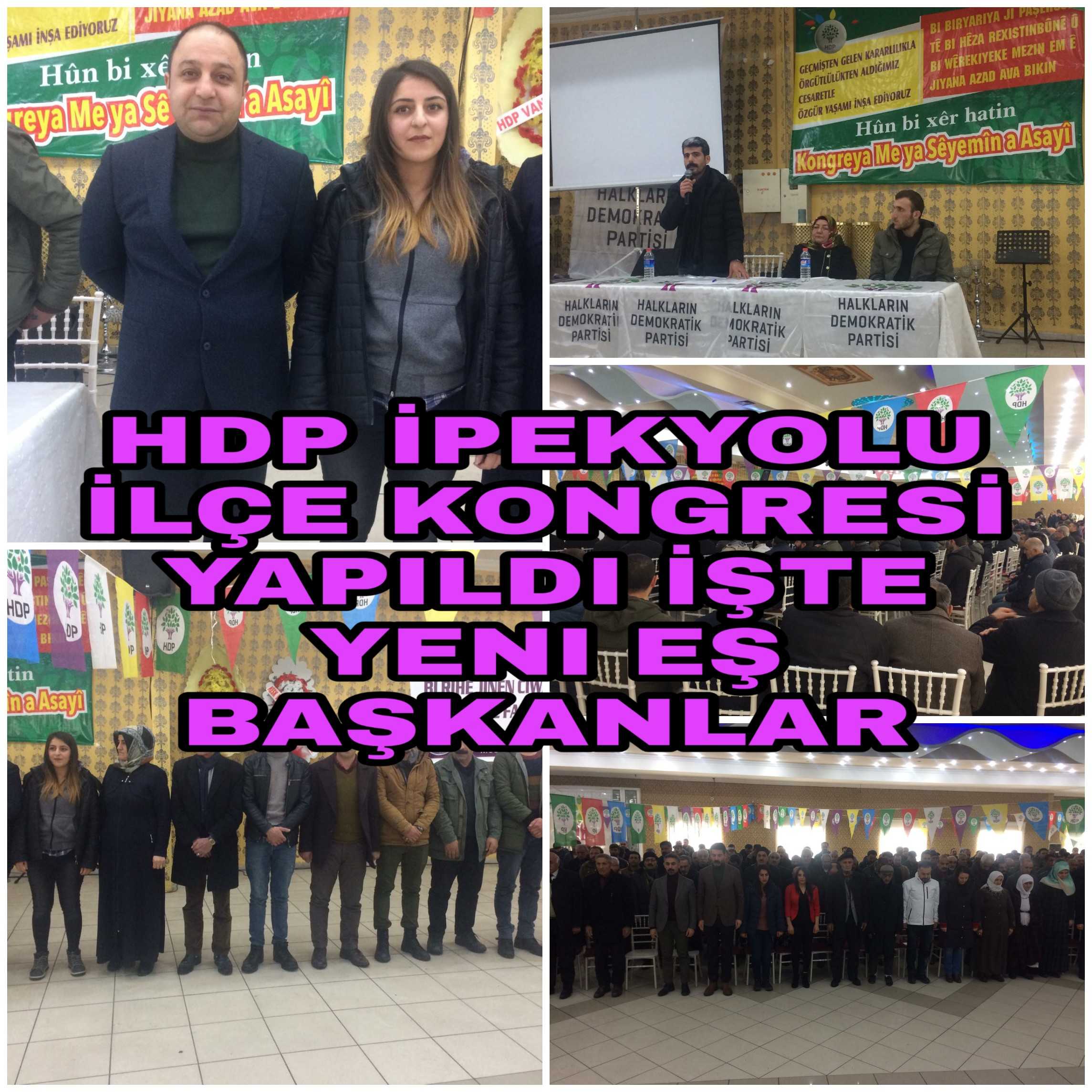 HDP İpekyolu Kongresi : Yeni Eş Başkanlar Belli Oldu