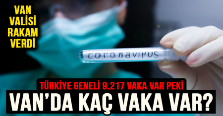 Van'da kaç koronavirüs vakası var?
