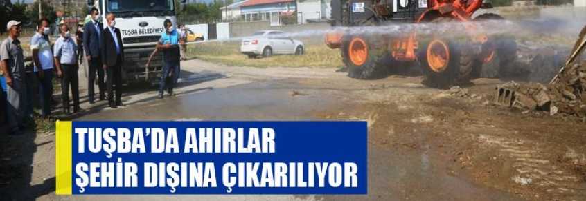 Tuşba’da ahırlar şehir dışına çıkarılıyor