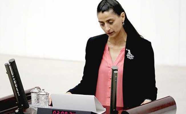 Feleknas Uca'nın Kürtçe sözleri Meclis tutanaklarına