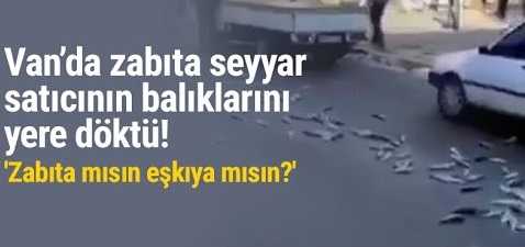 Van’da zabıta seyyar satıcının balıklarını yere döktü