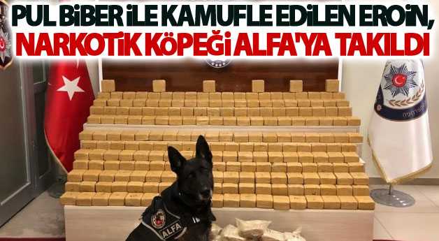 Van'da uyuşturucu operasyonu