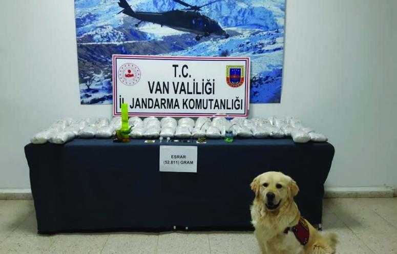 Jandarma’dan uyuşturucu madde operasyonu…