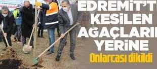 Kesilen ağaçların yerine onlarcası dikildi