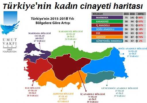 Türkiye'nin kadın cinayeti haritası