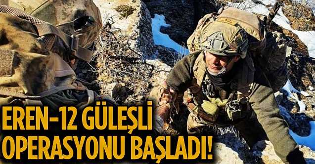 Şırnak ve Siirt'te Eren-12 Güleşli Operasyonu başlatıldı