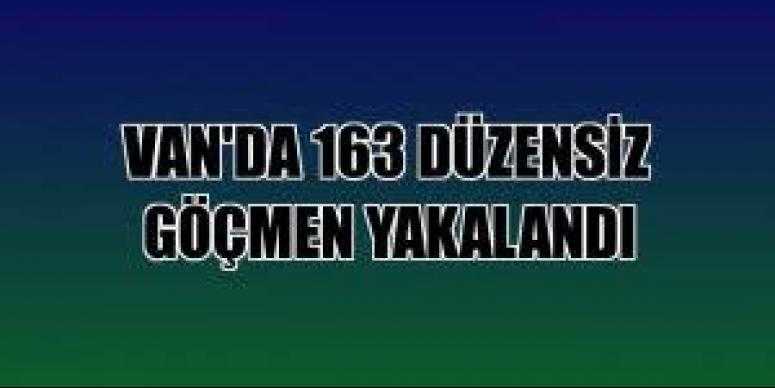 Van'ın 3 ilçesinde operasyon: 163 kişi...