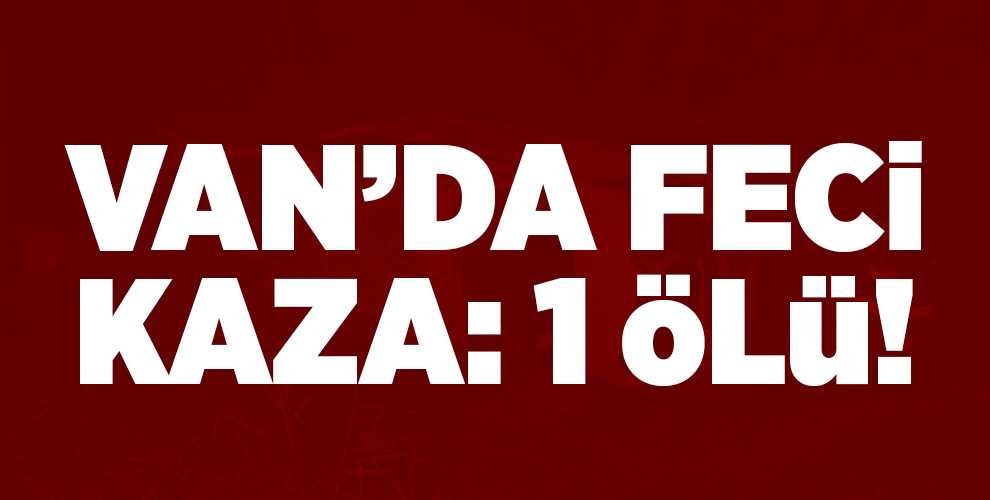 Van'da minibüs şarampole devrildi: 1 ölü